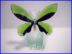 Swarovski Crystal Paradise Anamosa Butterfly With Display Retired 622739 Mib Coa