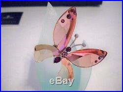 Swarovski Crystal Paradise Azua Butterfly 719182 Retired Bnib Coa