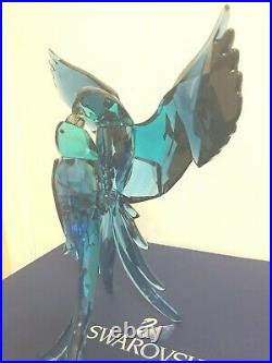 Swarovski Crystal Paradise Blue Pair Of Parrots 5136775 Intact Has Box &coa