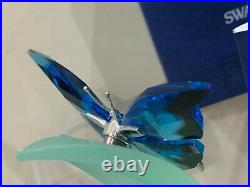 Swarovski Crystal Paradise Butterflies Ambur Blueturquoise 9601 012 401 MIB WithC