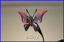 Swarovski Crystal Paradise Butterfly Amara Fuchsia Rain # 861937 Mint In Box