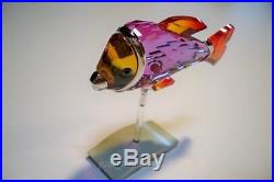 Swarovski Crystal Paradise Camaret Exotic Fish 626205 Retired Bnib Coa