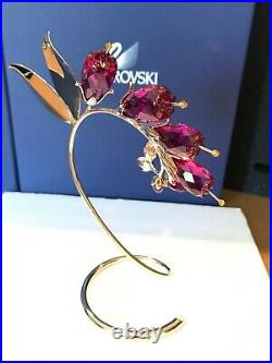 Swarovski Crystal Paradise Dacea Fuchsia Flower #945871 Mint