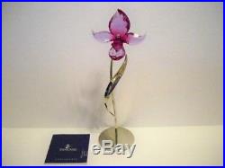 Swarovski Crystal Paradise Dorora Fuchsia Rain Exotic Flower 681542 Bnib Coa