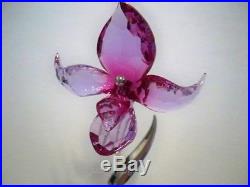 Swarovski Crystal Paradise Dorora Fuchsia Rain Exotic Flower 681542 Bnib Coa
