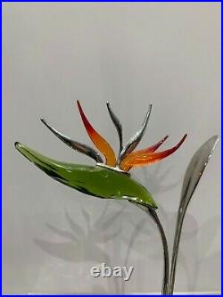 Swarovski Crystal Paradise Flower Dalamally Tropical Sun MIB WithCOA