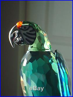 Swarovski Crystal Paradise Macaw Bird Object RETIRED MINT Parrot Figurine 685824