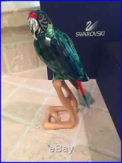 Swarovski Crystal Paradise Macaw Bird RETIRED Withbox Mint New 685824 Rare