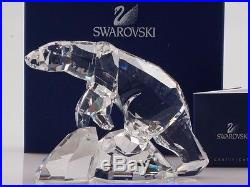 Swarovski Crystal Polar Bear Nanuc 837477 New With Box & COA 9600 000 032