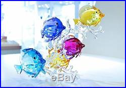 Swarovski Crystal Rainbow Fish Family Colorful Sea 5223195 Brand New in Box