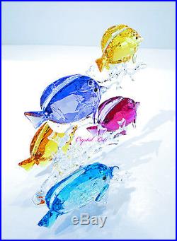 Swarovski Crystal Rainbow Fish Family Colorful Sea 5223195 Brand New in Box