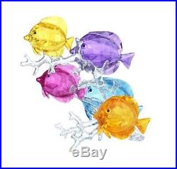 Swarovski Crystal Rainbow Fish Family Figurine 5223195