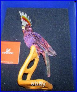Swarovski Crystal Red Cockatoo 718565 Paradise Birds Mib Box With Certificate