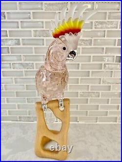 Swarovski Crystal Red Cockatoo Bird on Maple Stand #718565