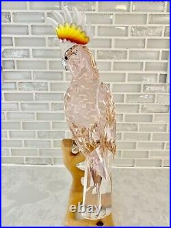 Swarovski Crystal Red Cockatoo Bird on Maple Stand #718565