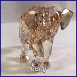 Swarovski Crystal SCS Annual Edition 2013 YOUNG ELEPHANT CINTA BABY 1142862 MIB