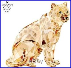 Swarovski Crystal Scs Annual Edition 2019 Amur Leopard Sofia 5428541. New In Box