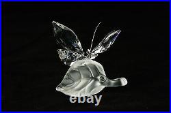 Swarovski Crystal Secret Garden Sparkling Butterfly Original Box Papers 182920
