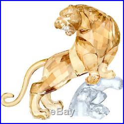 Swarovski Crystal Tiger #5301559 Brand New In Box Gold Clear Large Save$$ F/sh
