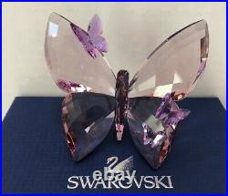 Swarovski Crystal Violet (Amethyst) Butterfly #1183941 Mint in original box