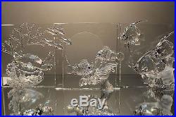 Swarovski Crystal Wonders of the Sea HARMONY COMMUNITY ETERNITY Clear Set