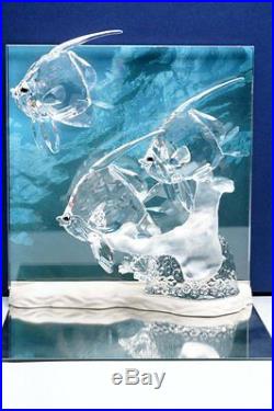 Swarovski Crystal Wonders of the Sea HARMONY COMMUNITY ETERNITY Clear Set MIB