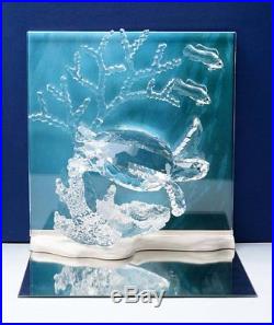 Swarovski Crystal Wonders of the Sea HARMONY COMMUNITY ETERNITY Clear Set MIB