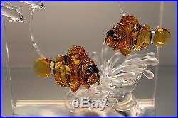 Swarovski Crystal Wonders of the Sea HARMONY COMMUNITY ETERNITY Colored Set
