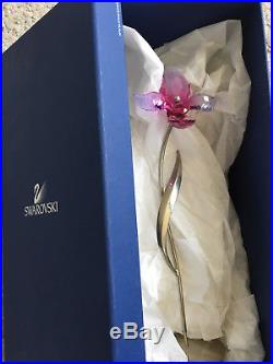 Swarovski Crystal figurine Dorora Fuchsia Rain Paradise flower 681542