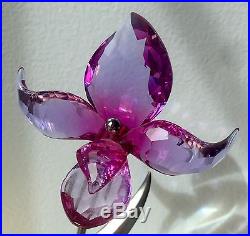 Swarovski Crystal figurine Dorora Fuchsia Rain Paradise flower 681542