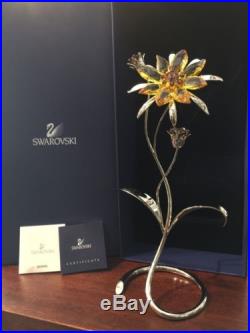 Swarovski Darigold Light Topaz Paradise Crystal Flower 957575 MIB