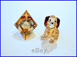 Swarovski Disney Lady and the Tramp Danielle with Plaque Dog 1089222 Brand New