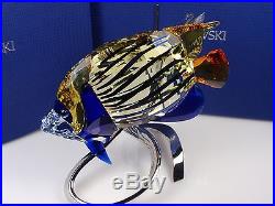 Swarovski Emperor Angelfish, Jonquil MIB #1072590