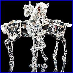 Swarovski Figurine Crystal Foals Playing Horses 627637 New MIB with COA