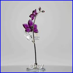 Swarovski Figurine Flower Dreams Orchid Large 5490755