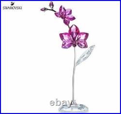 Swarovski Flower Dreams Orchid, large MIB #5490755