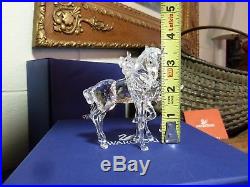 Swarovski Foals Playing 627637 Crystal Figurine Horses with Box & COA Pristine