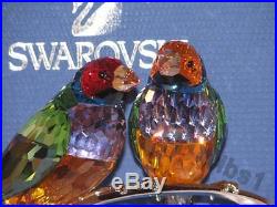Swarovski GOULDIAN FINCHES BRAND NEW IN BOX 1141675 CRYSTAL FIGURINE BIRD