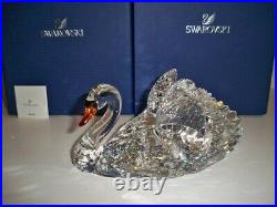 Swarovski Graceful Swan Sparkling 1141713 Bnib