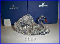 Swarovski Graceful Swan Sparkling 1141713 Bnib