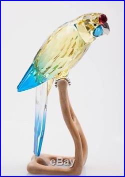 Swarovski Green Rosella Jonquil Paradise Parrot 901601 Brand New in Box Retired