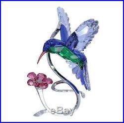 Swarovski Hummingbird # 1188779 New in Original Box