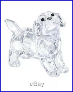 Swarovski Labrador Puppy, Standing # 5400141 New in Original Box