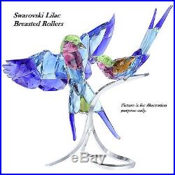 Swarovski Lilac-Breasted Rollers Bird Crystal Figurine 5258370 NIB