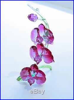 Swarovski Orchids Beautiful Fuchsia Flower Gift For Mom 5243561 Brand New In Box