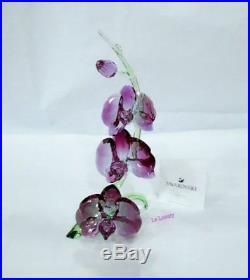 Swarovski Orchids, Paradise Flower, Crystal Authentic MIB 5243561