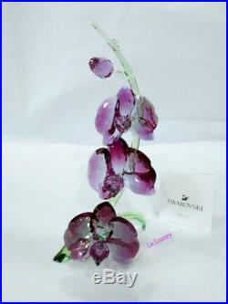 Swarovski Orchids, Paradise Flower, Crystal Authentic MIB 5243561