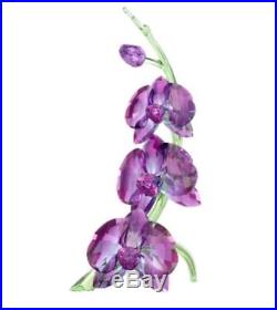Swarovski Orchids, Paradise Flower, Crystal Authentic MIB 5243561