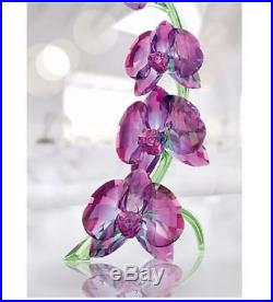 Swarovski Orchids, Paradise Flower, Crystal Authentic MIB 5243561