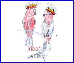 Swarovski PINK COCKATOOS BRAND NEW in BOX 5244651 CRYSTAL FIGURINE BIRD